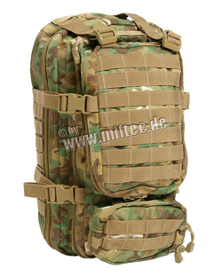  US ASSAULT PACK SMALL 30 , ARID-WOODLAND ,  sturm 14002056