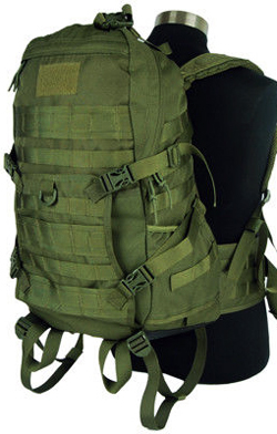  Tactical Molle Patrol Rifle AS-BS0016OD