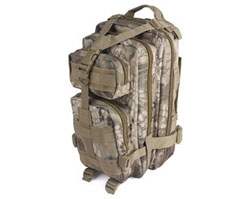  30L US Army 3P Best Military Combat Backpack (600D)  WS20085HL